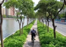 Ciclovia do Rio Pinheiros