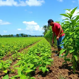Congresso Brasileiro de Fertilizantes