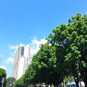 o que fazer em São Paulo no fim de semana