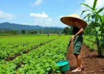 vulnerabilidade brasileira no setor de fertilizantes