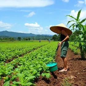 vulnerabilidade brasileira no setor de fertilizantes