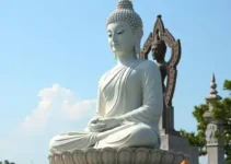 Fat Buddha